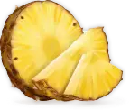Eucalyptus icon